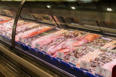 Bild 13 Toronto St Lawrence Market Fisch